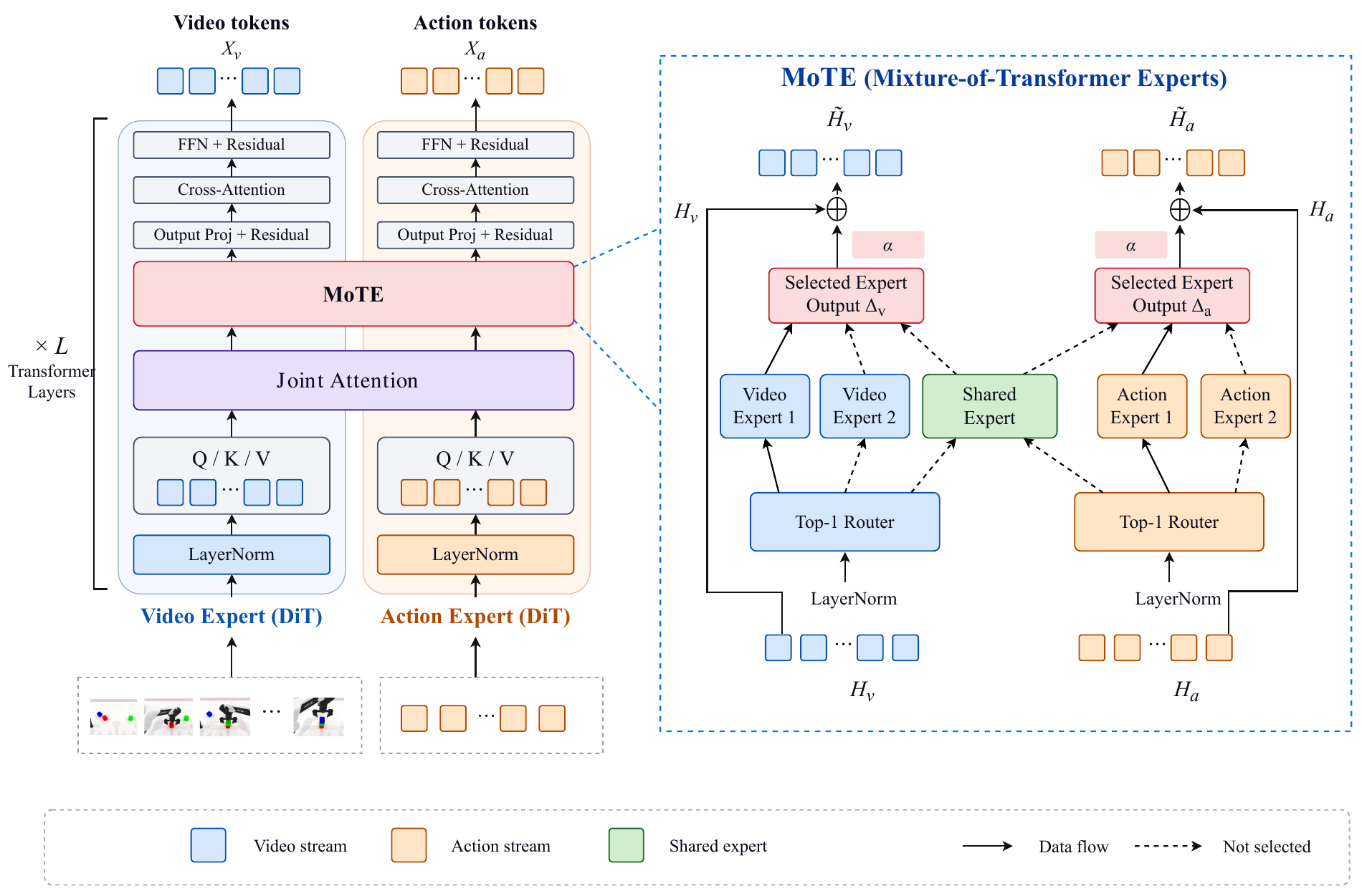 MoTE architecture with private video and action experts and a shared expert